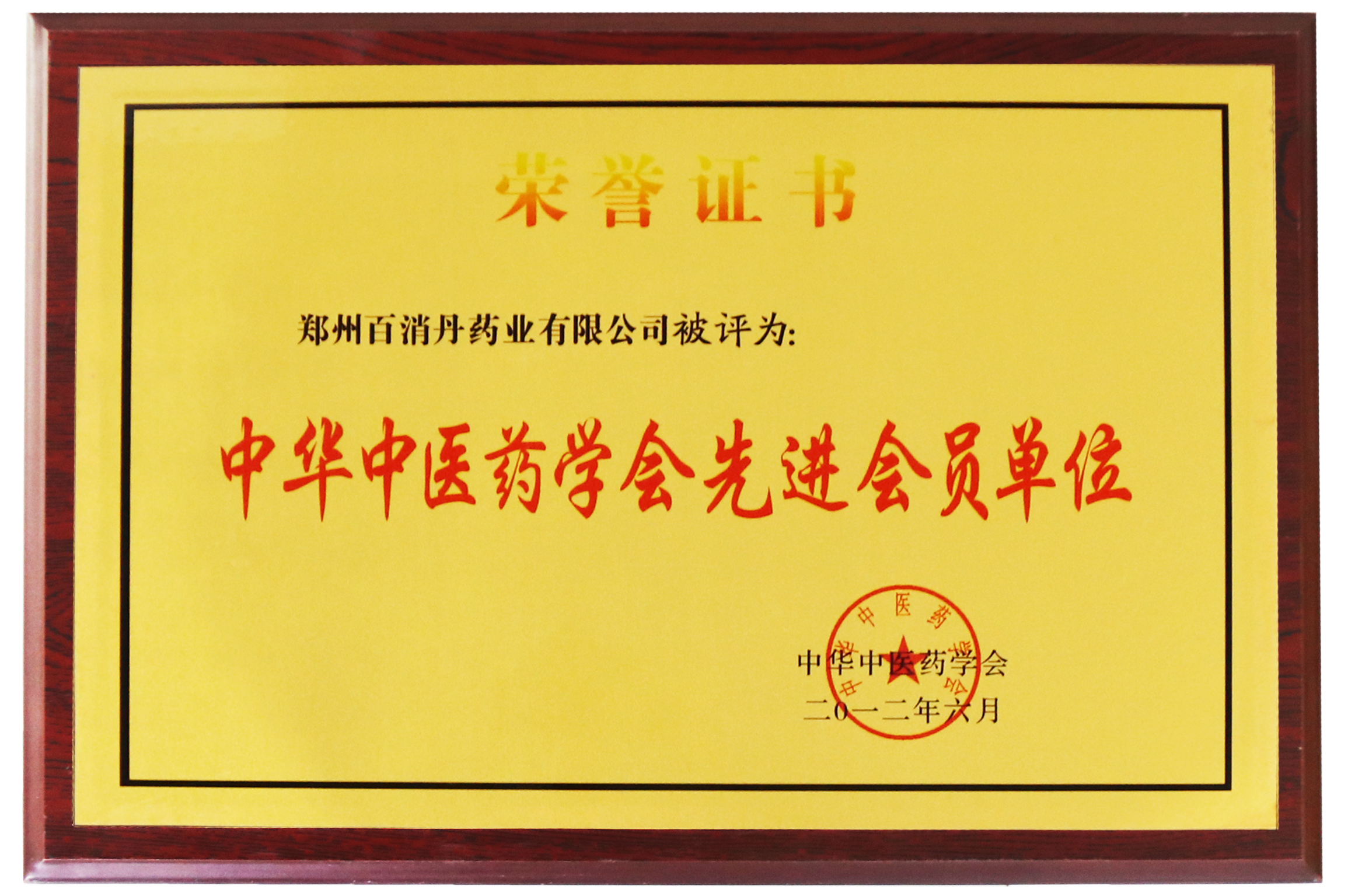 中國中醫藥協會先進會員單位